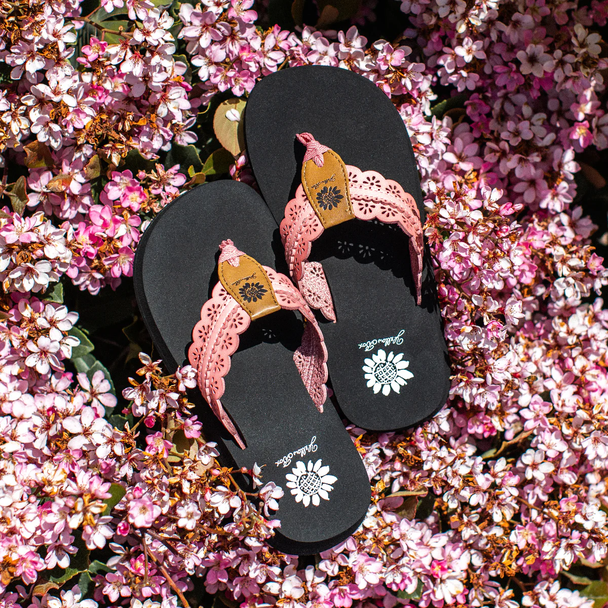 Fascell Flip Flop - Image 5