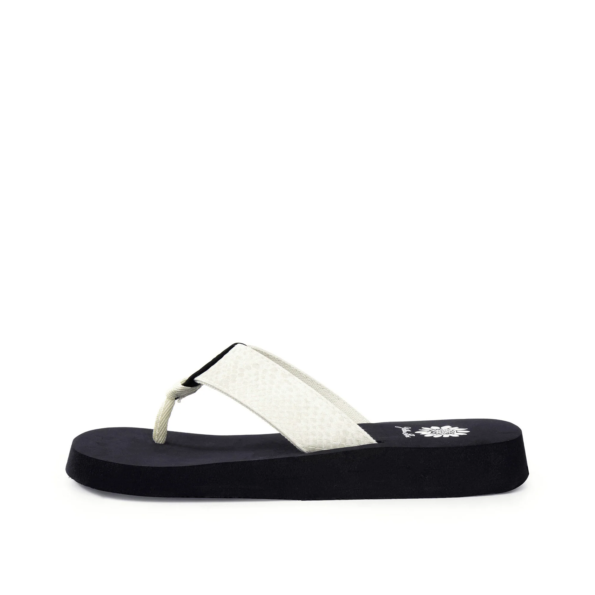 Findy Flip Flop