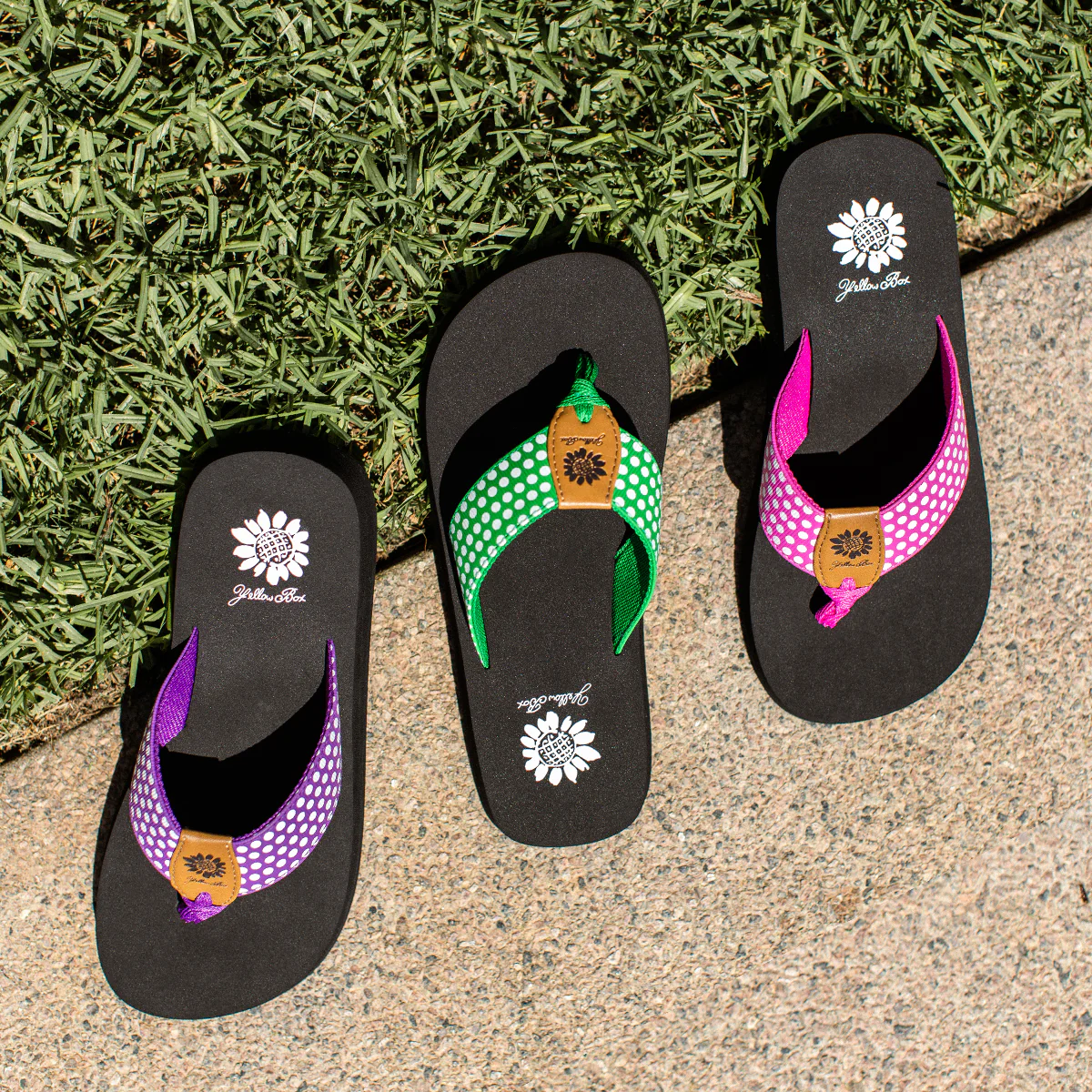 Fromy Flip Flop - Image 20