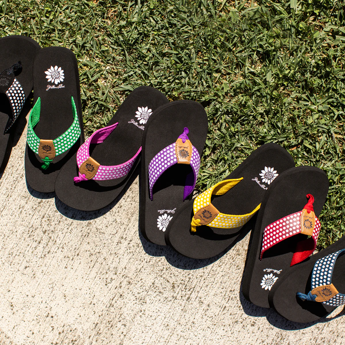 Fromy Flip Flop - Image 6