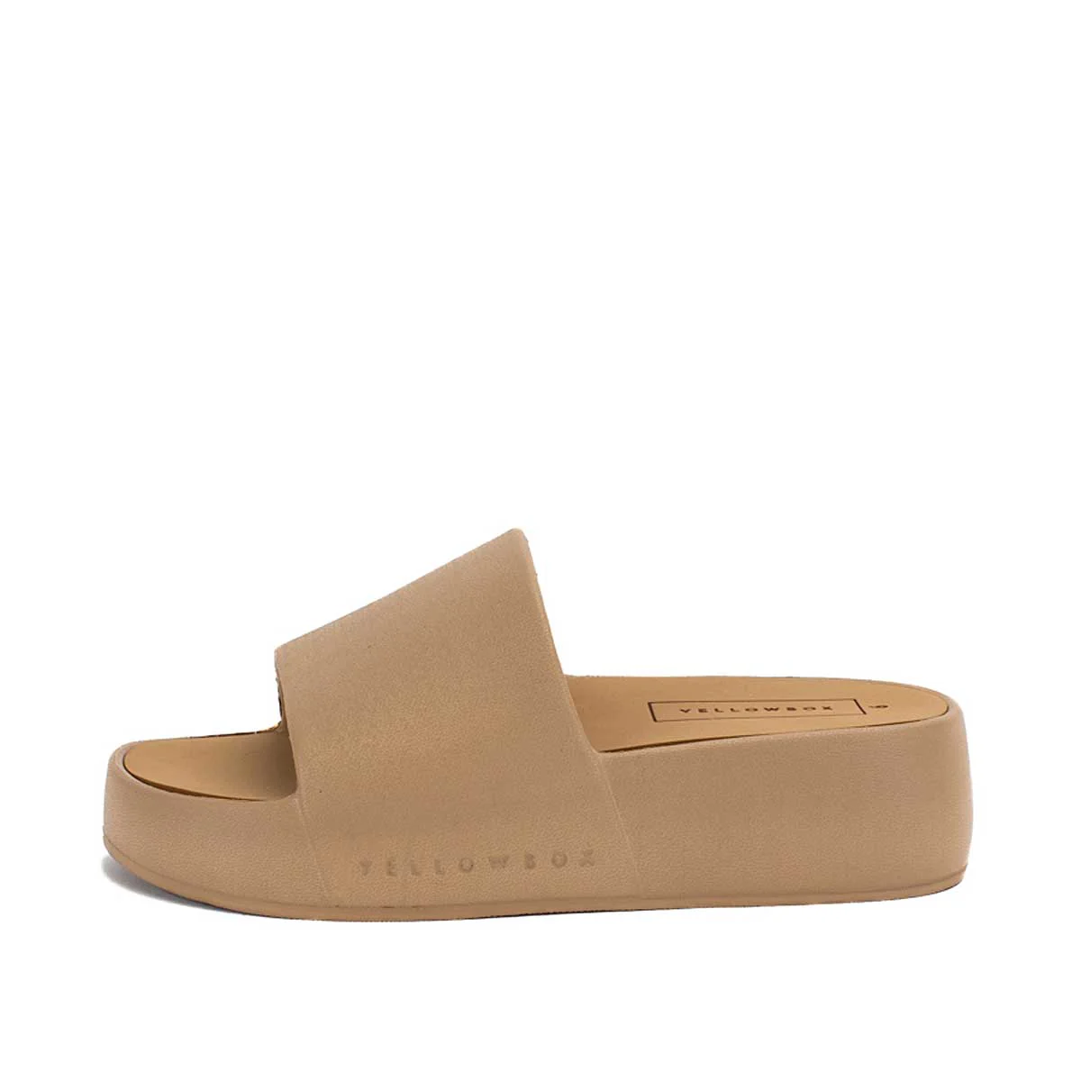 Torrey - Image 11