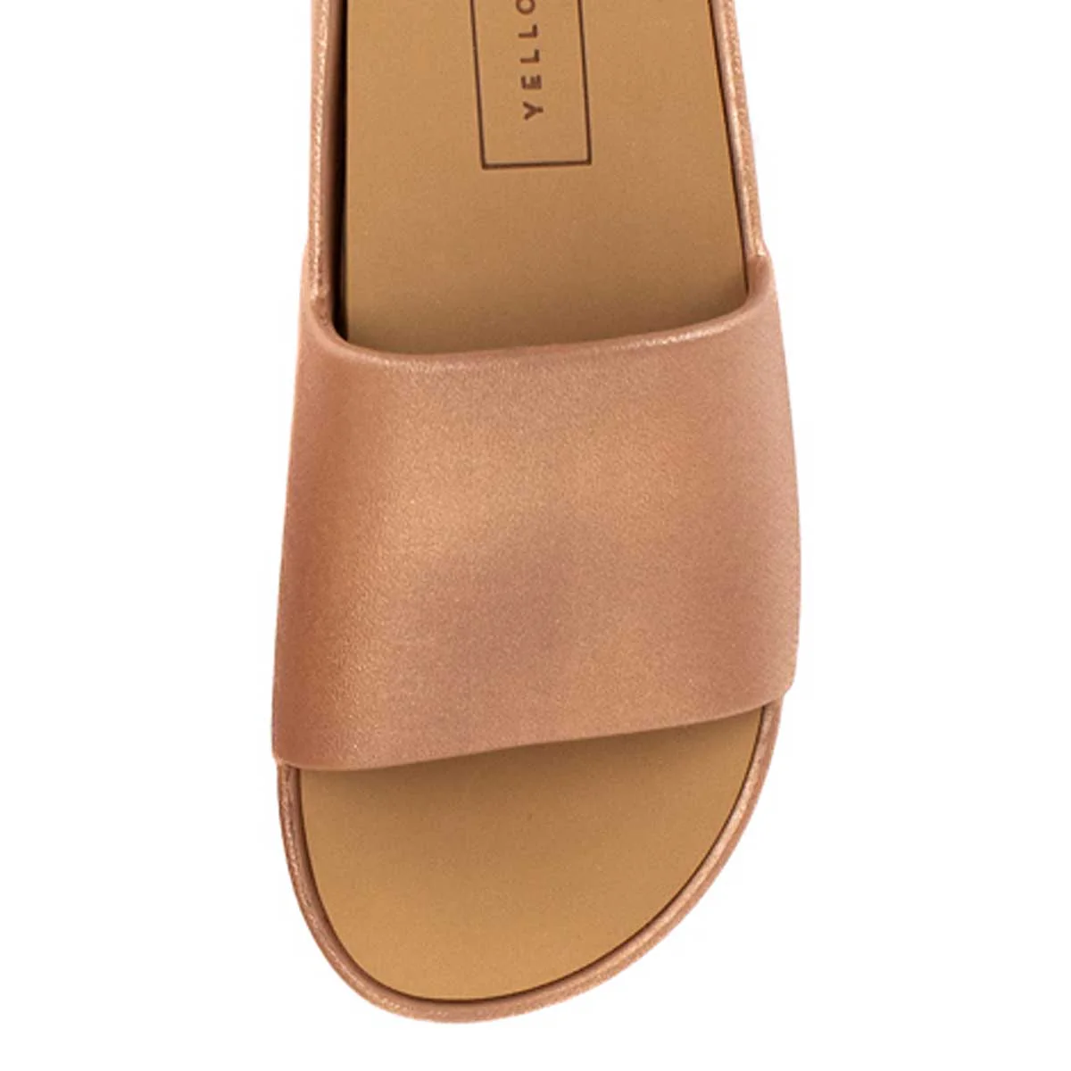 Torrey - Image 4