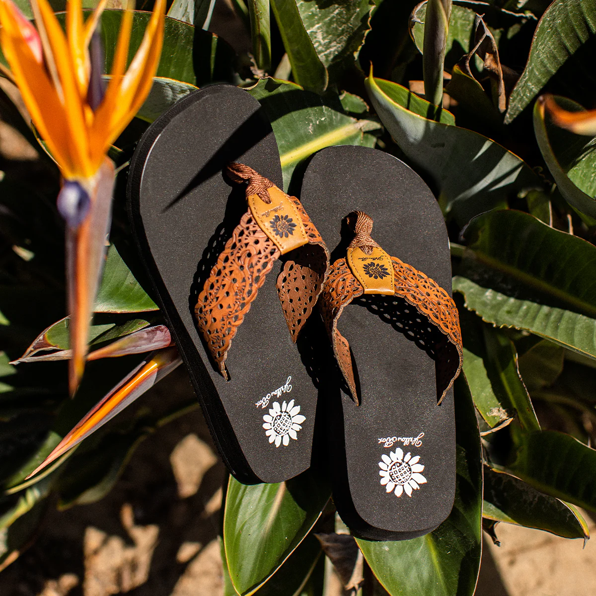 Wally Flip Flop - Image 6